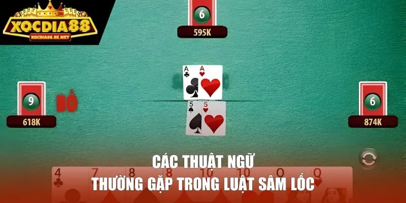 Thuật ngữ thường gặp trong sâm