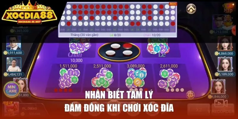 Nhận biết tâm lý đám đông khi chơi xóc đĩa